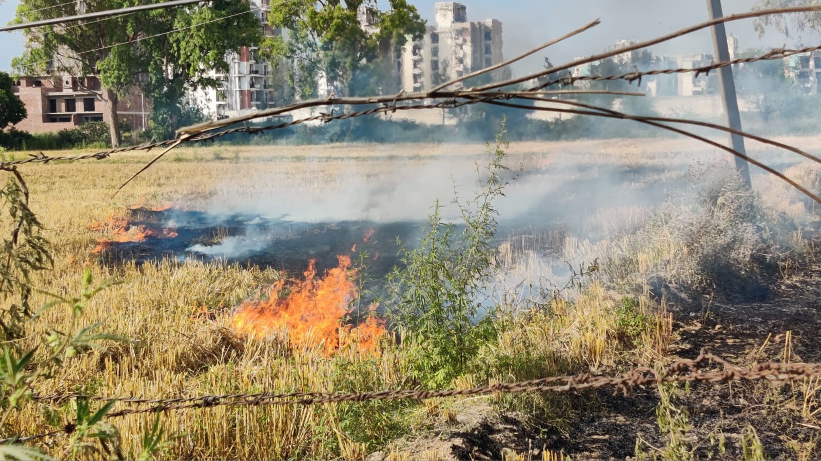 गाजीपुर रोड पर खेतों में लगी आग से जीरकपुर धुएं में घिरा