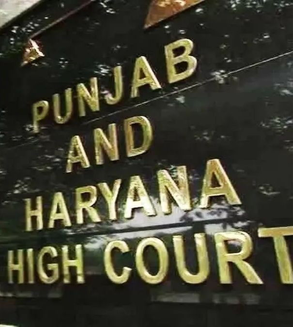 बीफ मामले में हाईकोर्ट सख्त, ‘जानकारी नहीं थी’ की दलील नामंजूर; नूर मोहम्मद को अग्रिम जमानत से इंकार