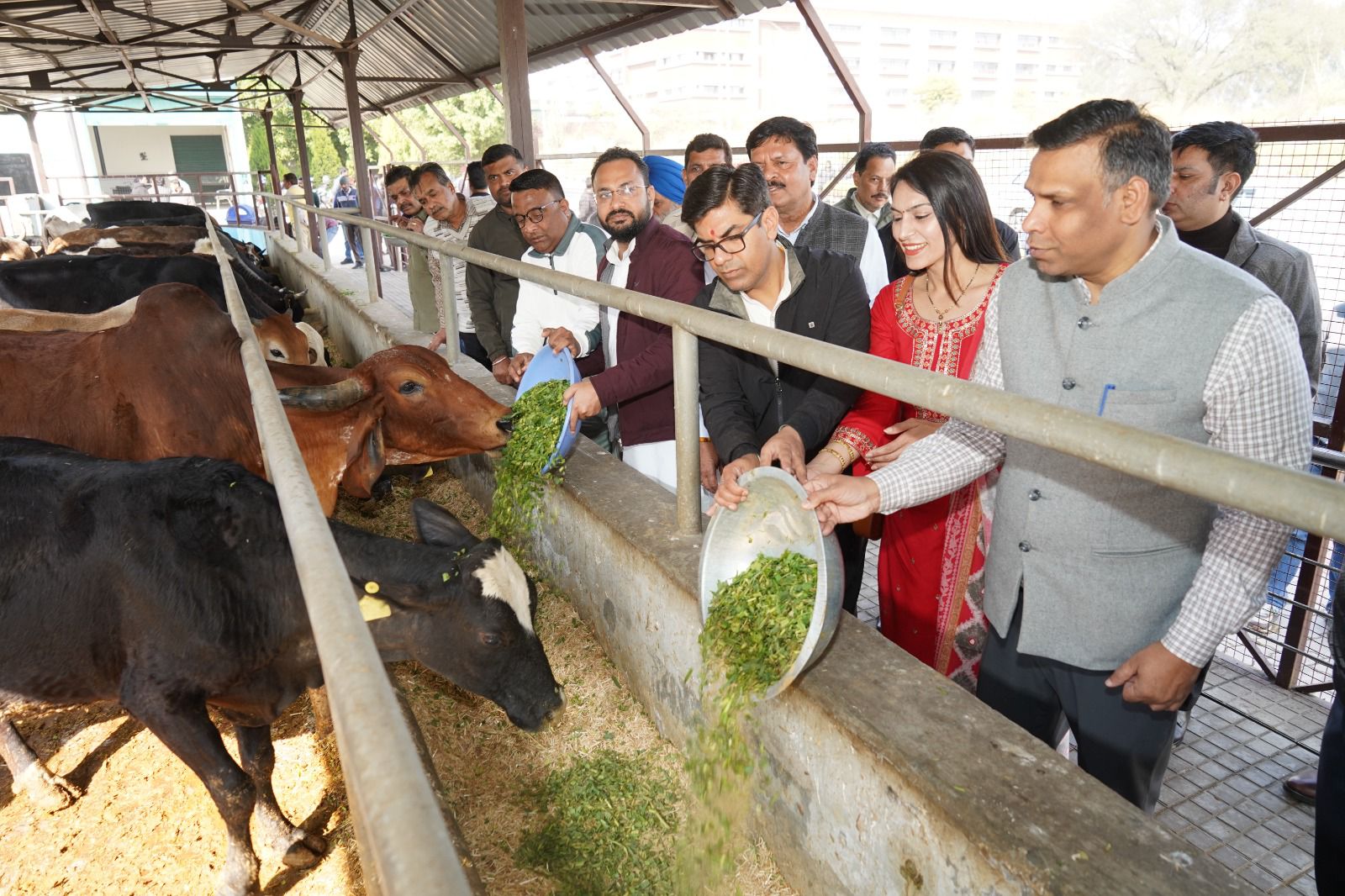 मेयर सौरभ जोशी ने शहर की गौशालाओं का किया पहला निरीक्षण, व्यवस्थाओं की समीक्षा