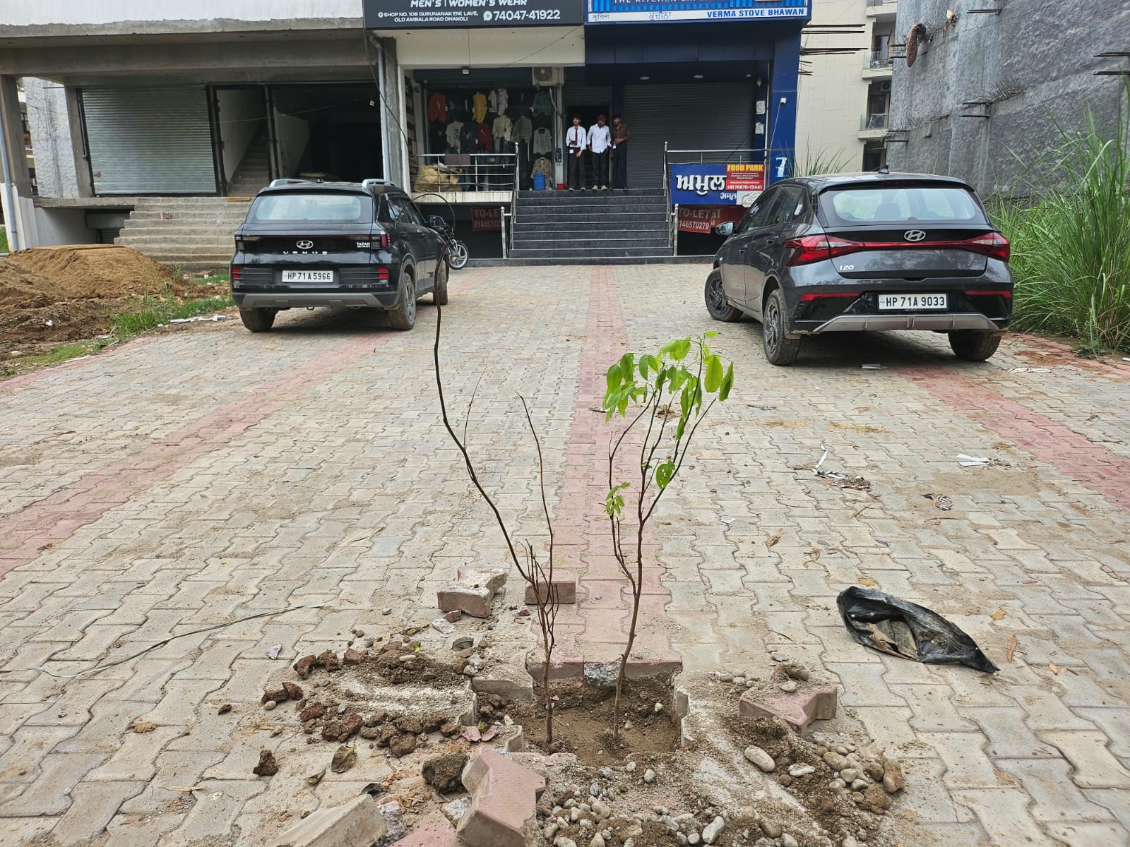 Zirakpur: ढकोली की ग्रीन बेल्ट होगी सुरक्षित, 2000 पौधों के साथ वन विभाग ने शुरू किया हरियाली अभियान